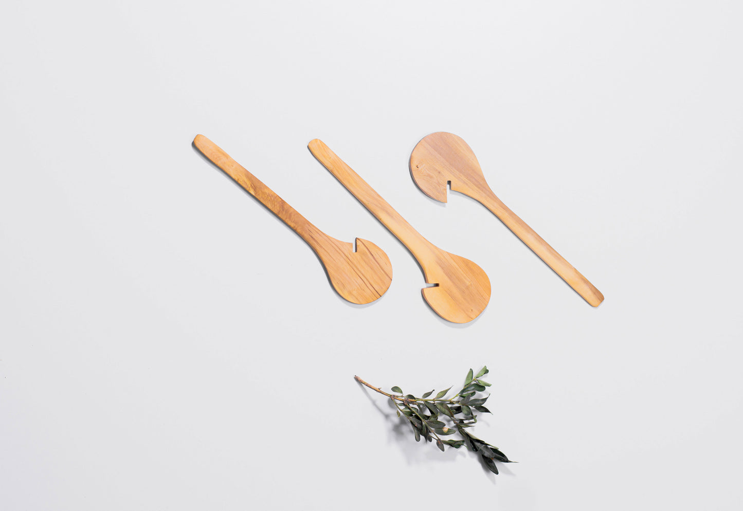 Abrelatas de Madera de Boj – SIRESA